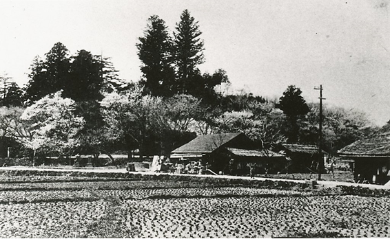 勝楽寺の景観