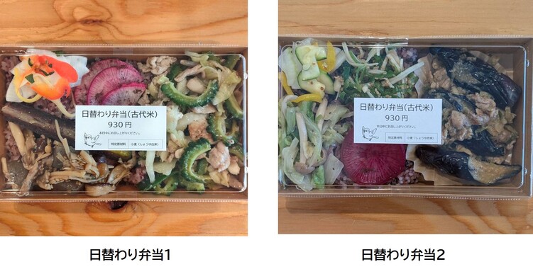 日替わり弁当の写真