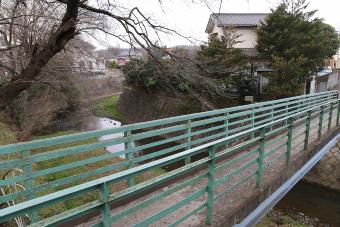 共開橋付近の柳瀬川の風景