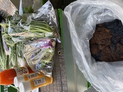 川瀬さんが作ったにんじんジュースと野菜、土の写真