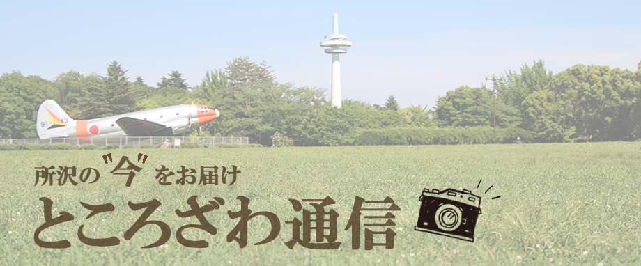 所沢航空記念公園の写真