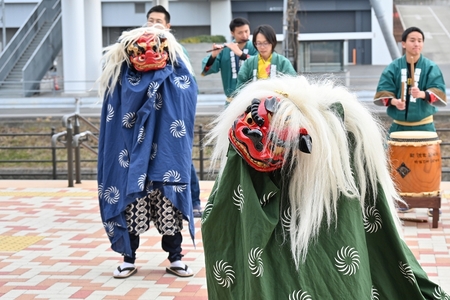 獅子が来場者の方に向かって踊っている様子。