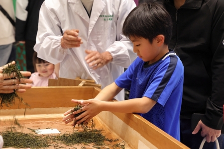 手もみ作業を行う男の子の画像